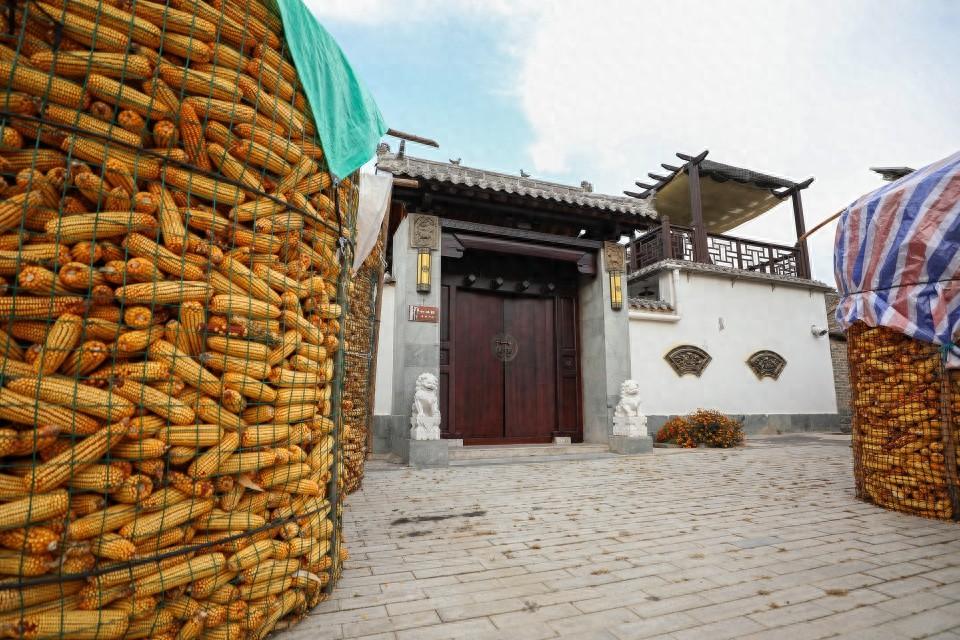 山西这个小村不得了！利用生态优势打造旅游品牌，收入大增，游客超 15 万