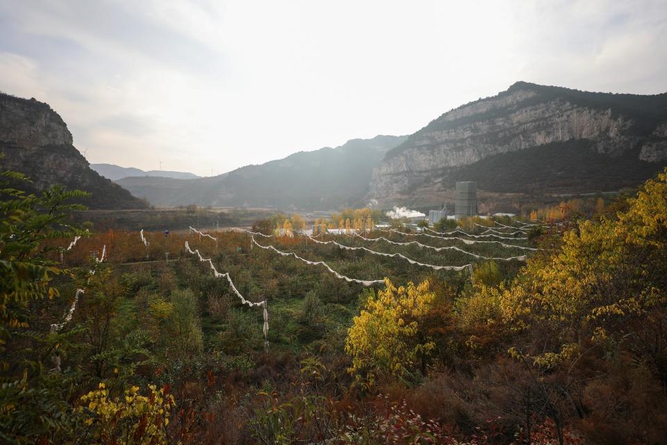 山西这个小村不得了！利用生态优势打造旅游品牌，收入大增，游客超 15 万  第2张