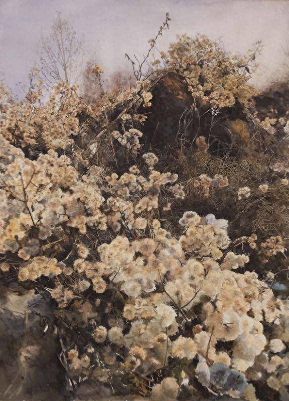 陕西水彩粉画学术双年展盛大开幕，全国佳作云集，共襄艺术盛宴