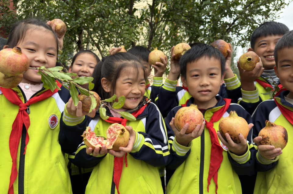 沂南县砖埠镇中心小学开展劳动实践活动，让学生体验丰收的快乐  第2张