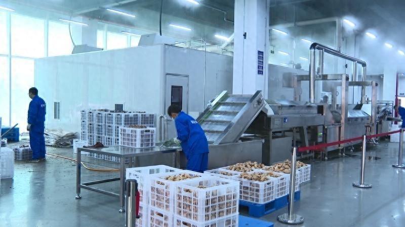 略阳县绿色食药科技产业园首家企业正式投产，将为县域经济转型升级注入新活力  第1张