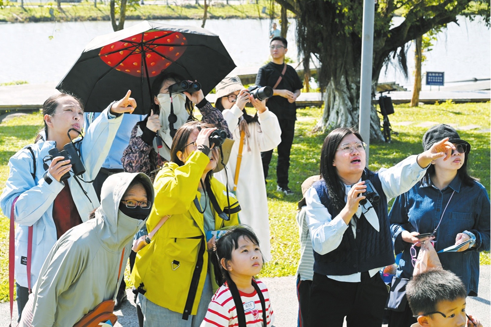 2024全民观鸟节海南站盛大开幕，190位观鸟爱好者齐聚一堂，探索鸟类多样性
