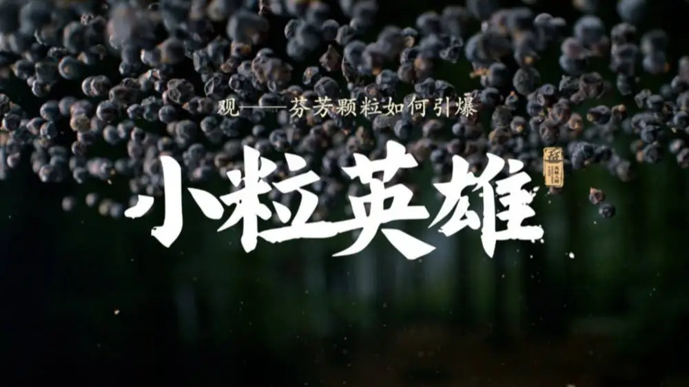 风味人间5·香料传奇：探秘全球香料原产地，解锁味蕾新境界  第1张