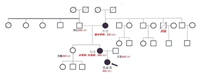 祖孙三代同患癌症，源头竟是同一基因！黄荷凤教授团队破解遗传魔咒  第2张