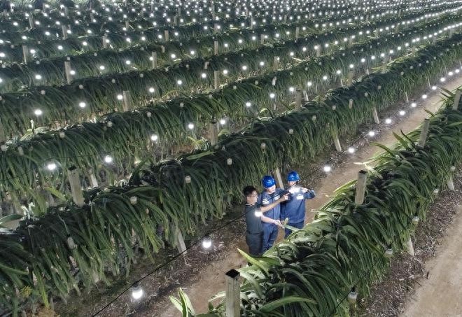100%成功率！海南电网数字化转型助力自贸港建设，配电网智能化升级惊艳亮相  第1张