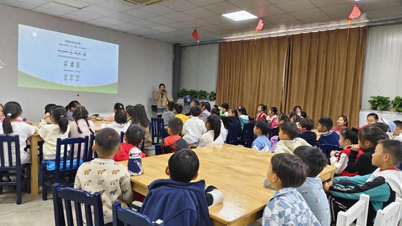 12月1日，一颗种子的奇幻之旅：探秘稻作文化季的全民公益热潮  第1张