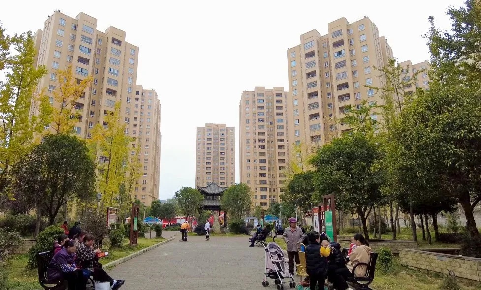 从易地扶贫到创业致富：一个馒头店老板的逆袭之路  第5张