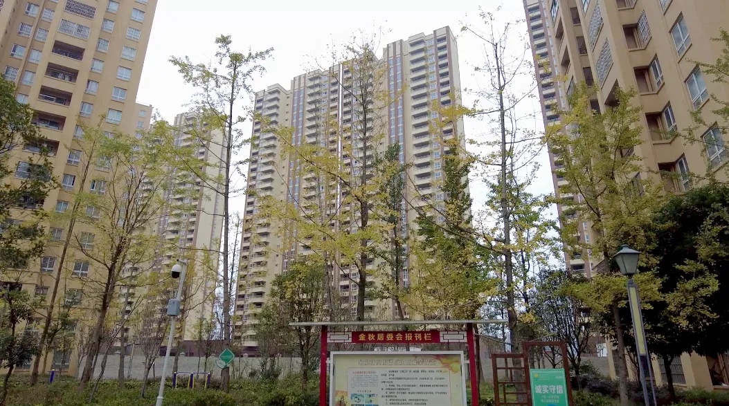 从易地扶贫到创业致富：一个馒头店老板的逆袭之路  第6张