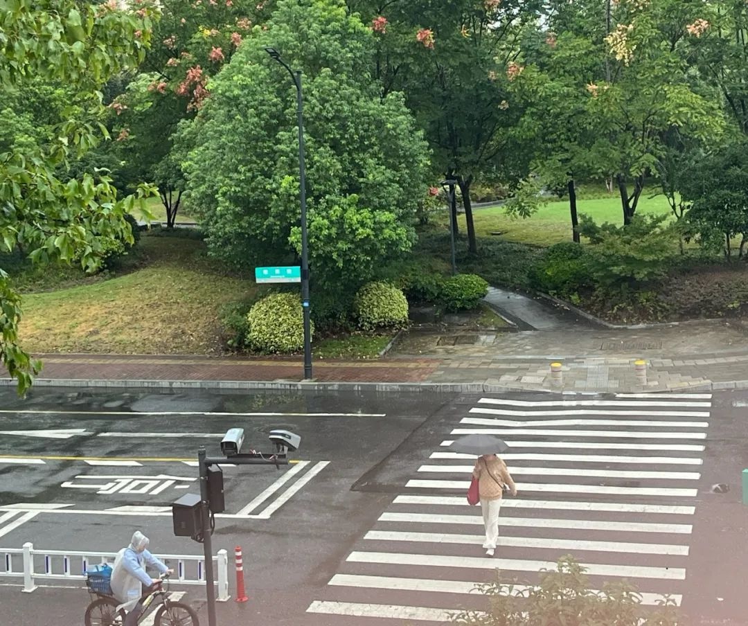 气温滑滑梯！今天20℃，明天0℃，杭州天气大反转，你准备好了吗？  第6张