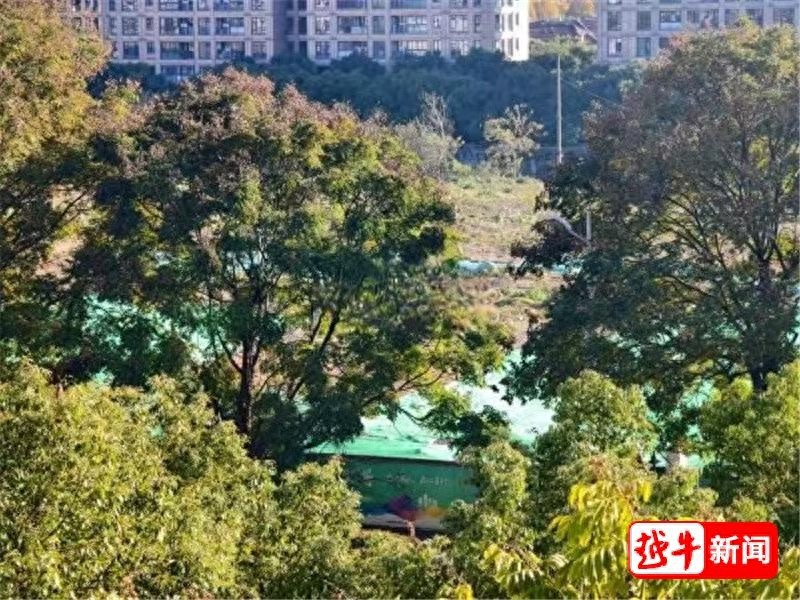 绍兴越城区迪荡街道米行街片区大变样！绿布覆盖，挖掘机忙碌，未来将成宜居新地标  第1张