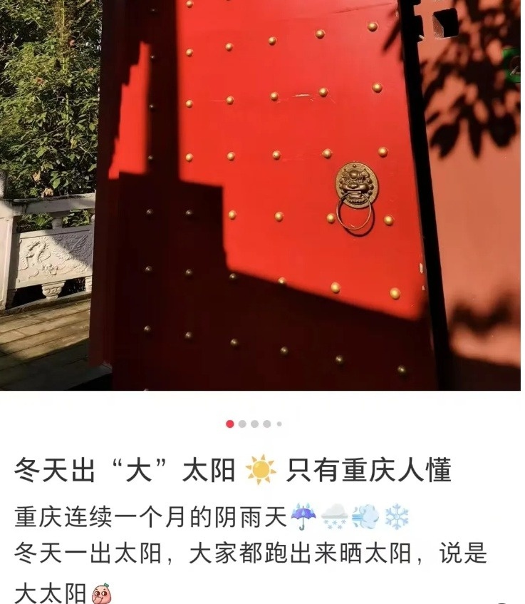 重庆人集体变身向日葵，晴暖周末突遇大转折，雨水即将上岗  第2张