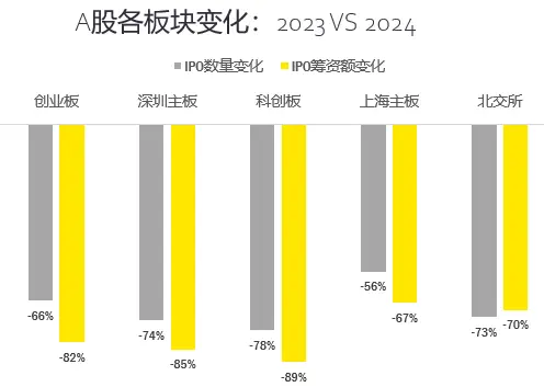 2024年A股IPO市场大降温：融资额暴跌83%，创业板成唯一亮点  第1张