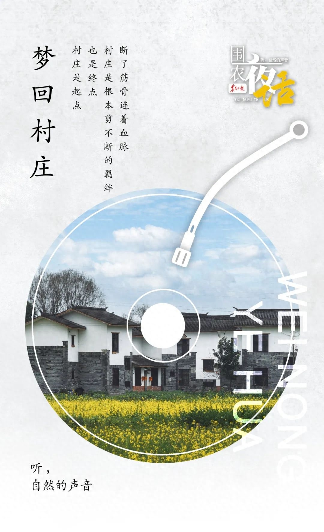 六月夜晚，村庄的记忆：从青石板路到野草莓的童年回忆  第1张