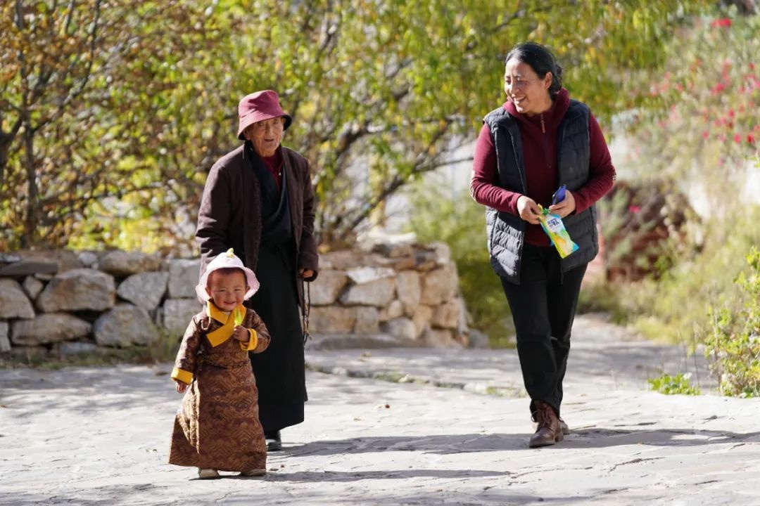 六月夜晚，村庄的记忆：从青石板路到野草莓的童年回忆  第4张