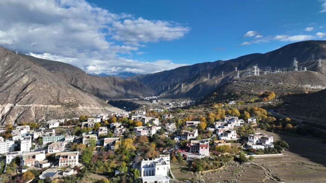 六月夜晚，村庄的记忆：从青石板路到野草莓的童年回忆  第5张