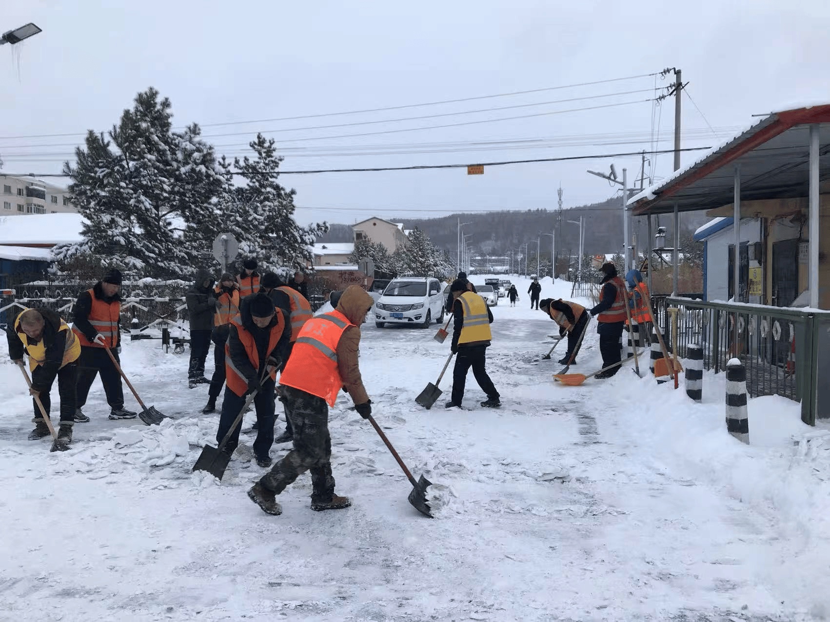 大兴安岭降雪引爆漠河追雪热，铁路安全防控成关键，大牲畜采食难题待解  第3张