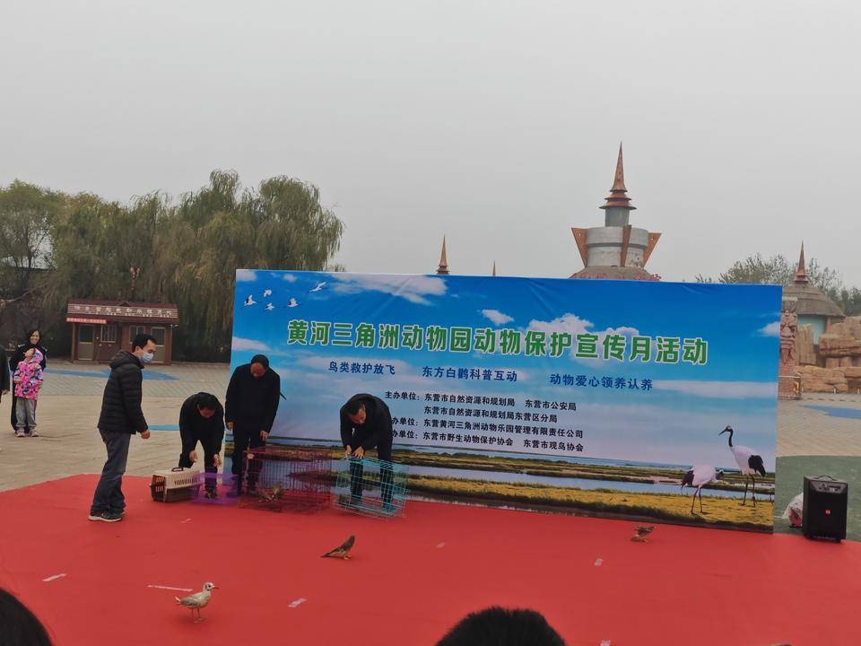 10余只鸟类放飞自然，近距离感受生态之美，你还在等什么？  第2张