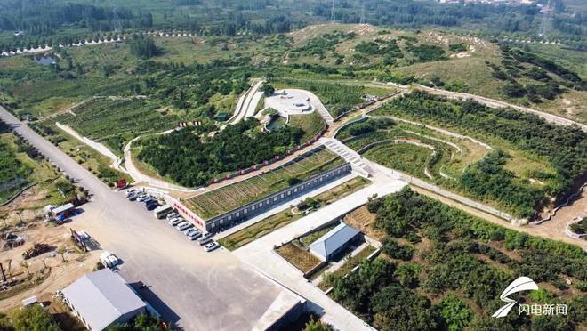 承中医文化，传国药瑰宝，扬药膳精粹，共探黄精产业发展未来  第6张