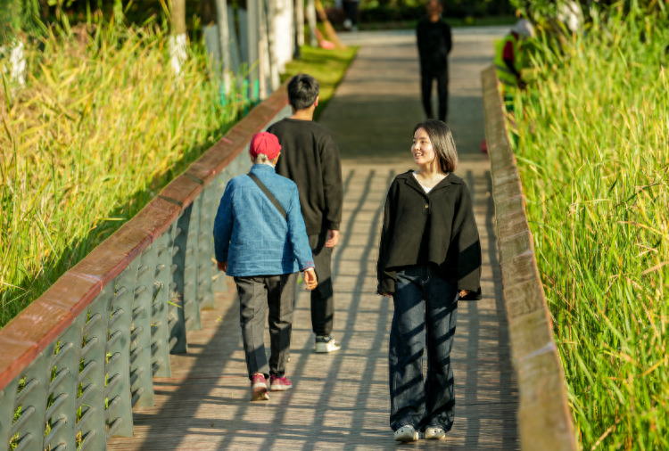 匡河北岸绿化提升二期工程开放，城市绿廊宛如流动山水画卷，你还不来打卡？