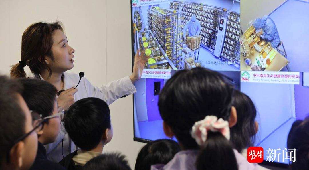 南京这场活动,让孩子探寻生命健康奥秘,激发科学好奇心 第2张 南京这场活动,让孩子探寻生命健康奥秘,激发科学好奇心 第2张