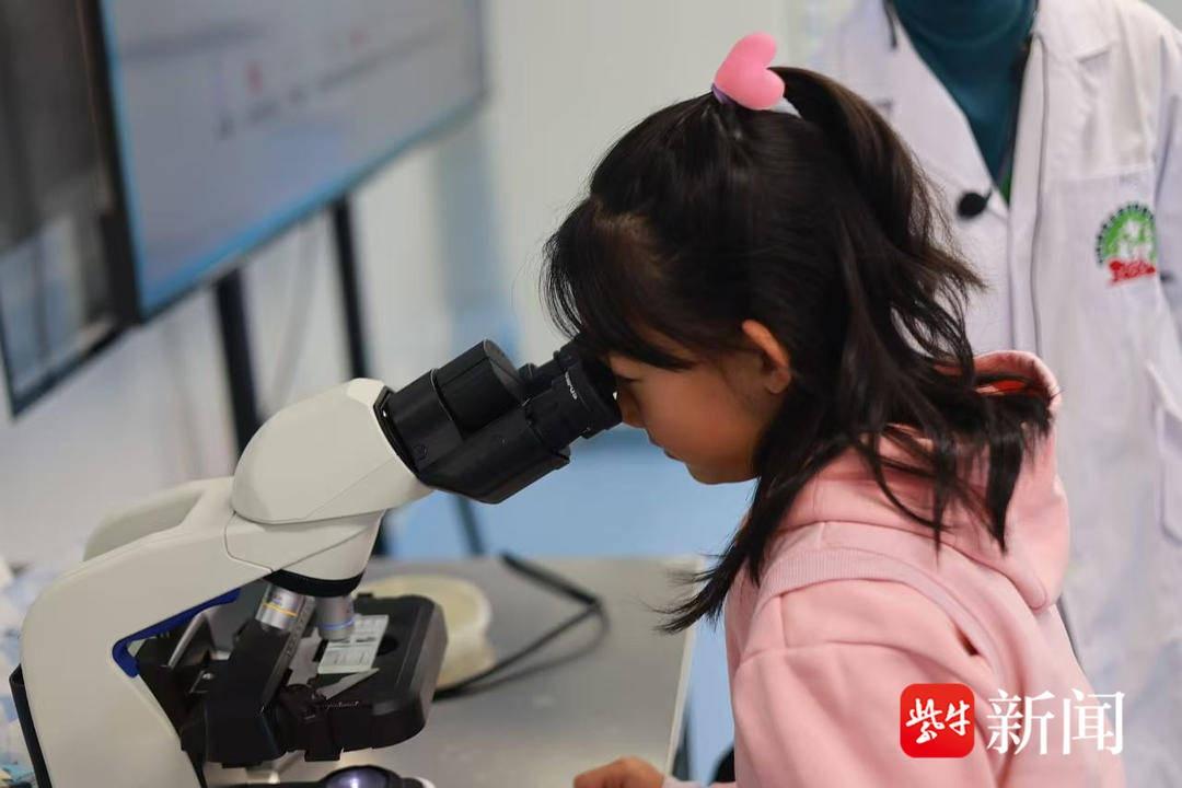 南京这场活动,让孩子探寻生命健康奥秘,激发科学好奇心 第3张 南京这场活动,让孩子探寻生命健康奥秘,激发科学好奇心 第3张