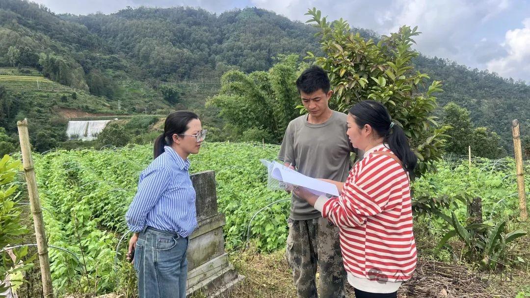 龙山镇多措并举推进文物保护工作，你知道都有哪些措施吗？  第2张