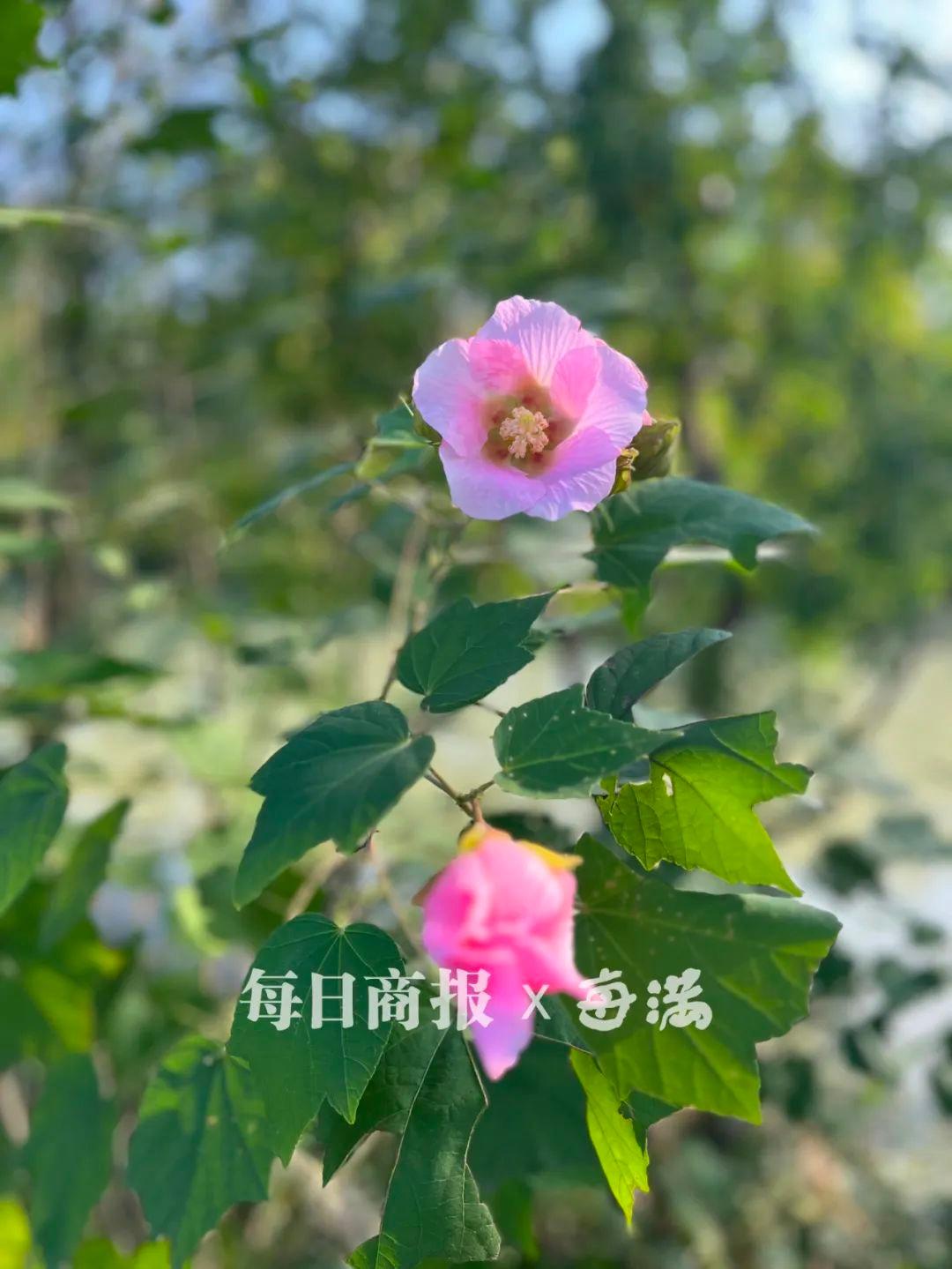 气温将跌到个位数！秋高气爽之后，冷空气来袭，你准备好了吗？  第2张