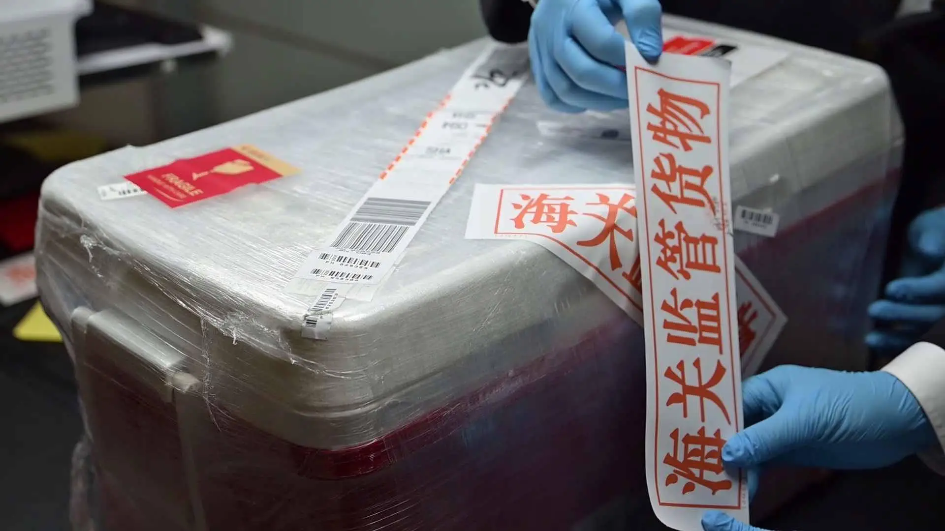 24 公斤水产品乘坐航班入境，将亮相第七届进博会  第2张