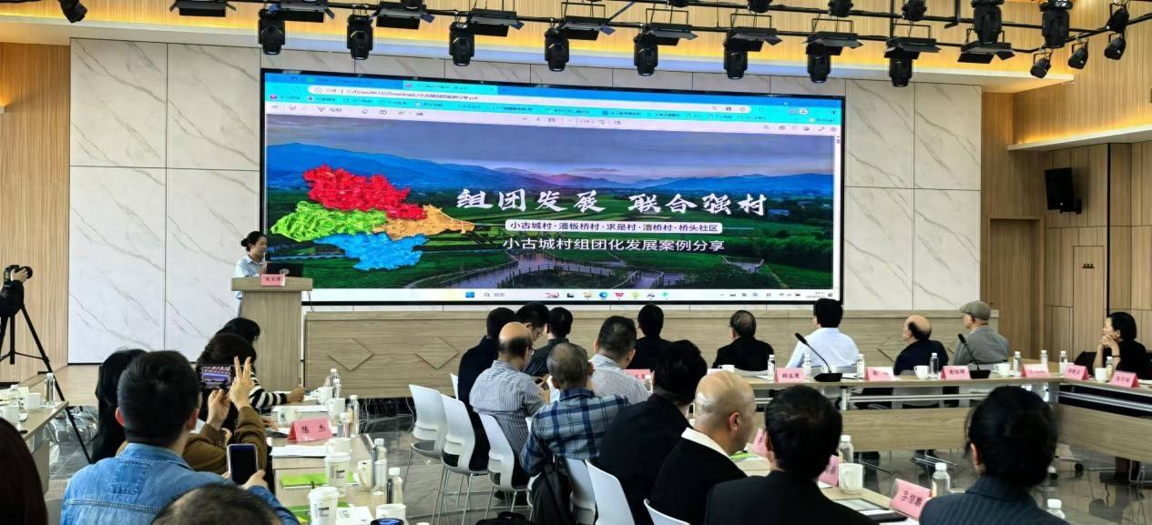 乡村组团式发展研讨会成功举办，专家深入探讨，助力乡村振兴  第1张