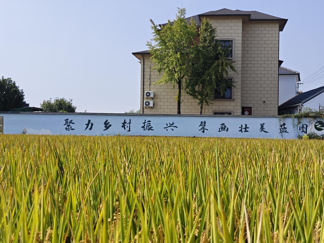 乡村组团式发展研讨会成功举办，专家深入探讨，助力乡村振兴  第2张