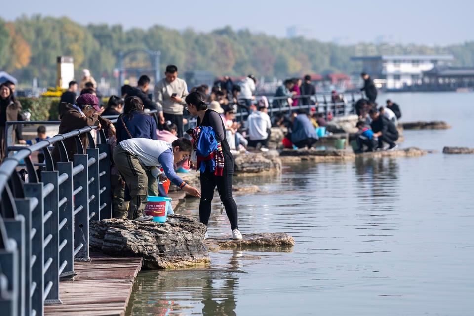 5 万斤鱼苗欢快入水！太白湖秋季放鱼养水促生态活动盛大启动  第3张
