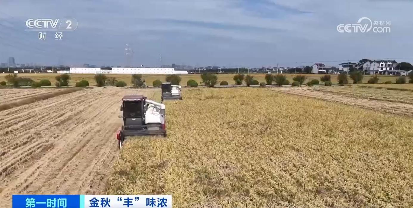 江西吉水：55 万亩晚稻丰收！智慧农业助力节本增效，产量大增  第4张