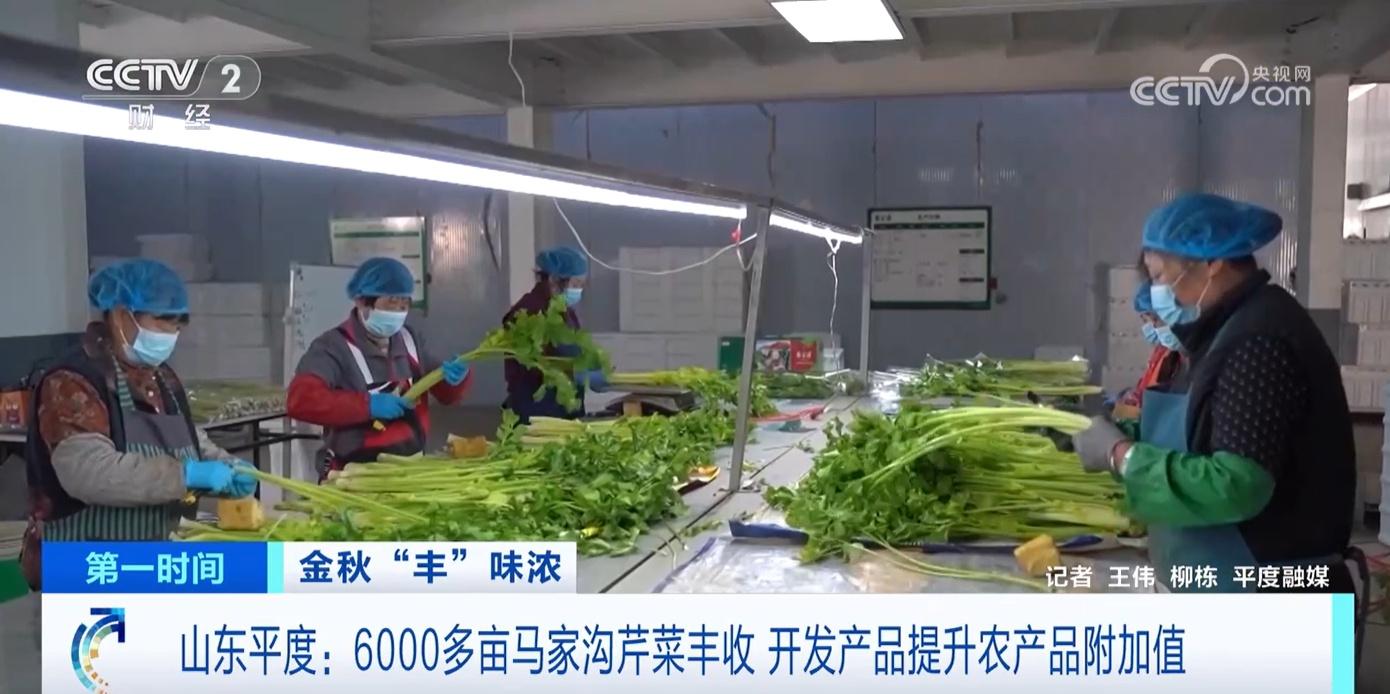 江西吉水：55 万亩晚稻丰收！智慧农业助力节本增效，产量大增  第5张