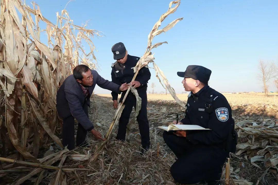 哈尔滨公安秋收护农专项行动：已破获 2 起案件，抓获 名嫌犯  第2张