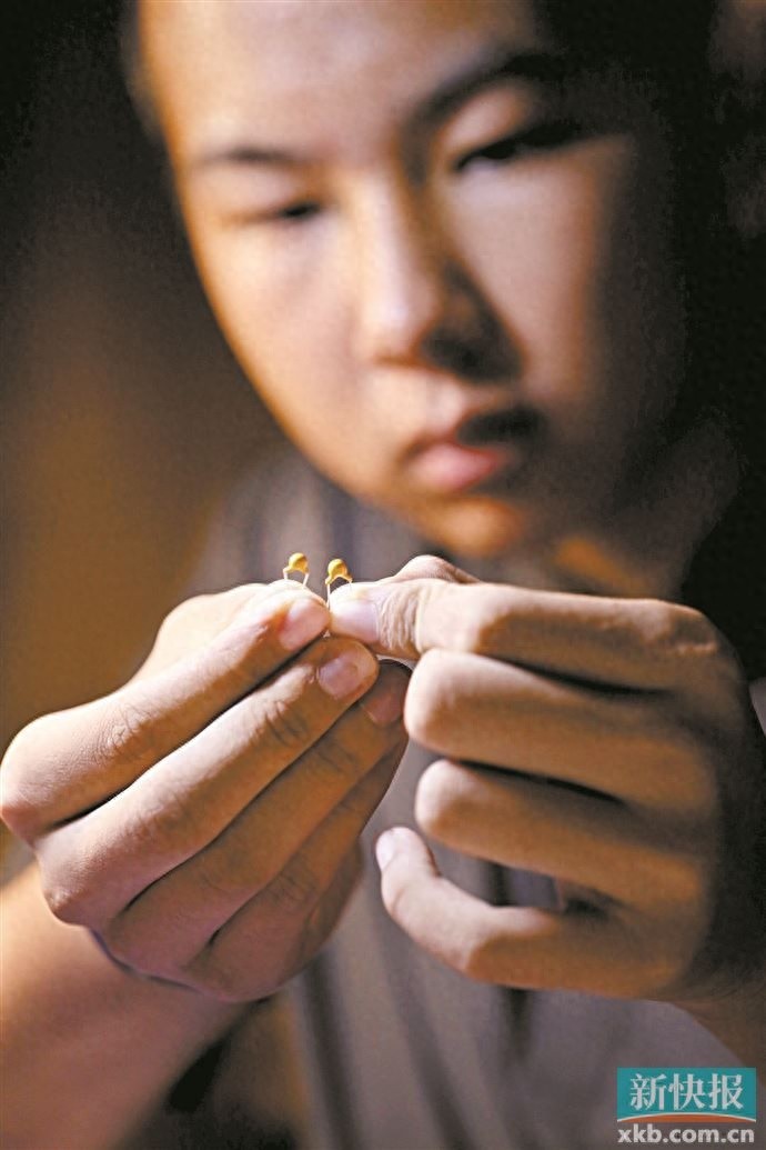 曾炜的无线电测向之旅：从树林到赛场，每一刻都是心跳加速的挑战