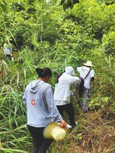 揭秘四川四普：新发现1538处不可移动文物，复查率达90.5%，文物普查大幕拉开  第2张