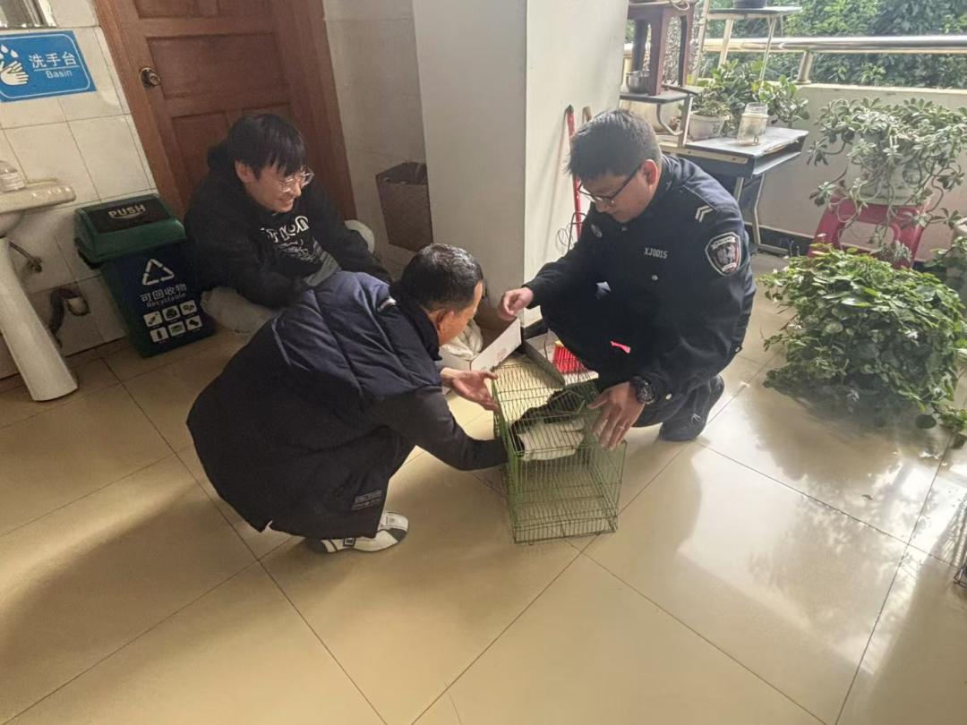 00后白某洋终生禁驾，万元救命钱惊现银行，警民联手上演暖心寻主记  第3张