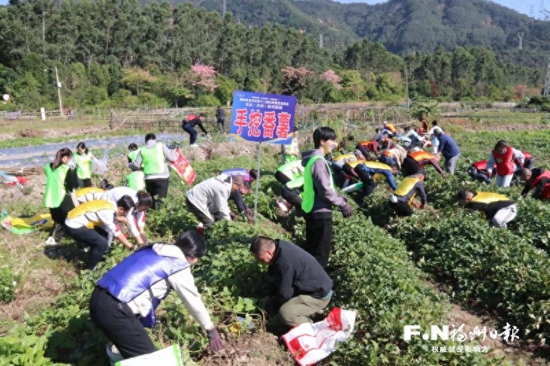 田间地头大比拼:手挖番薯、春播秋收,乡村体育联赛颠覆你的想象 第1张 田间地头大比拼:手挖番薯、春播秋收,乡村体育联赛颠覆你的想象 第1张