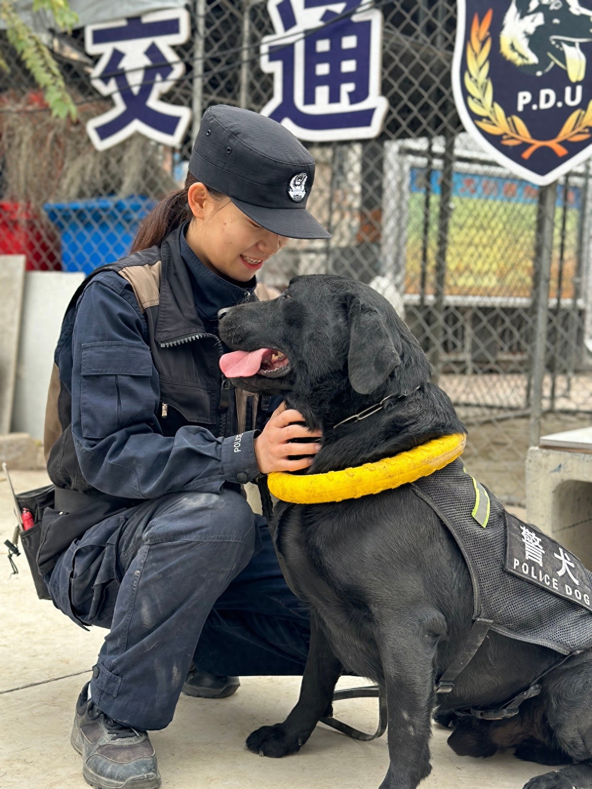 警犬六一的惊人速度：几分钟内从数百乘客中找出违禁品，你敢相信吗？  第1张