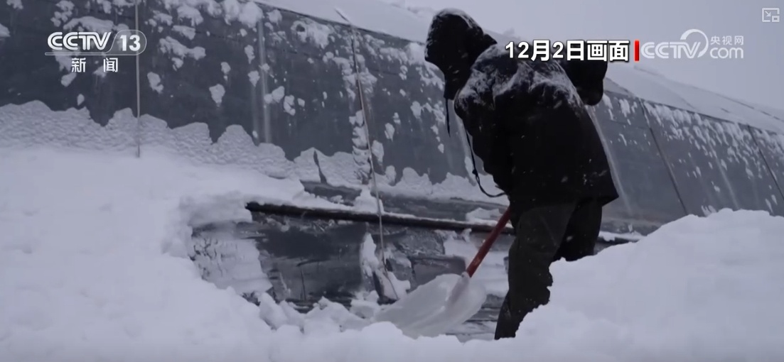 黑龙江虎林市迎降雪，交通部门紧急清雪保畅通，农技人员支招应对低温  第2张