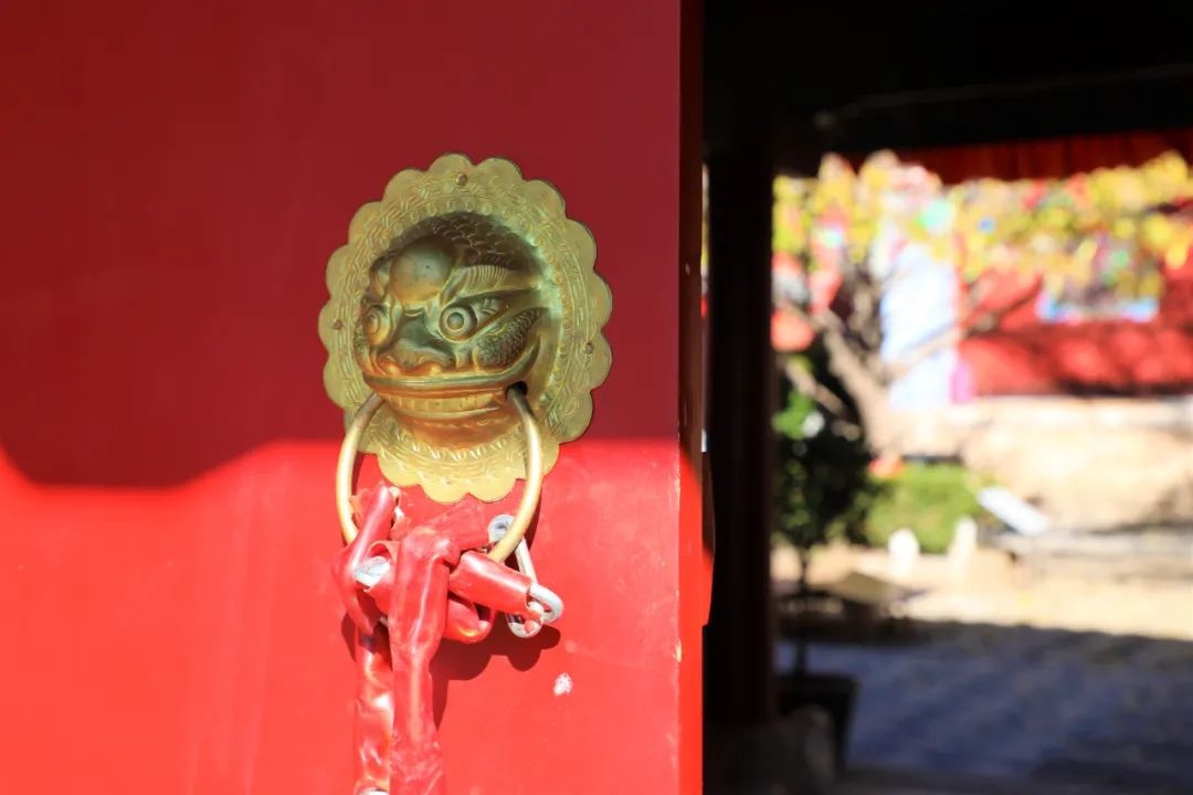 丽江秋色：银杏树下的金色雨，古刹与自然的诗意交响  第6张