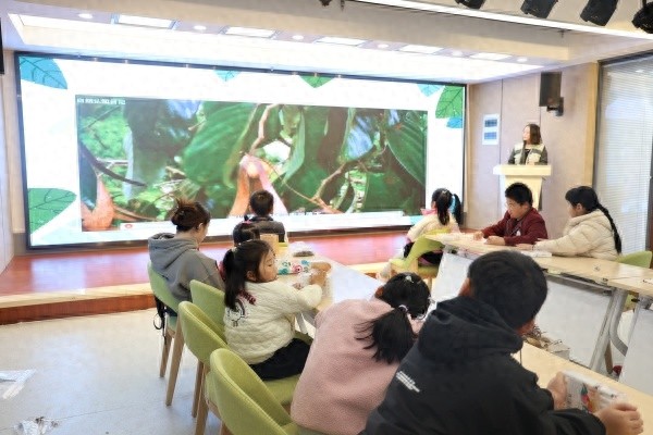 揭秘种子的奇妙旅行：亲子共探自然奥秘，让科学触手可及