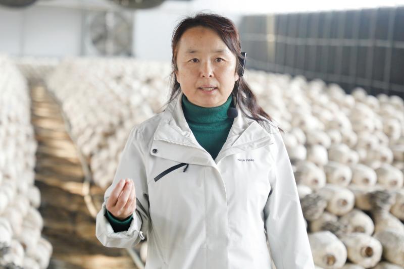 4000-5000吨秸秆变废为宝，蘑菇种植户的新致富密码揭秘  第2张