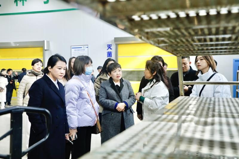 4000-5000吨秸秆变废为宝，蘑菇种植户的新致富密码揭秘  第4张