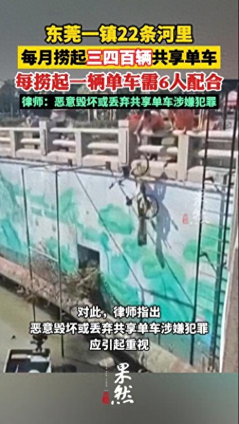 22条河每月捞出数百共享单车，企业自省与法律维权并重  第1张