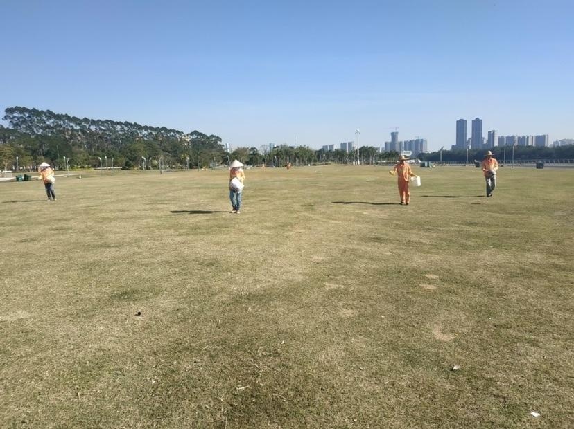 佛山青年公园草坪轮休制度：7个板块分2批次，科学养护减轻压力，市民游玩不受影响  第4张