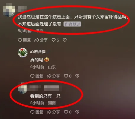 飞机上惊现老鼠！100多名乘客安全如何保障？航空公司紧急回应  第2张