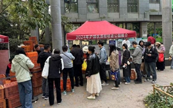 沪郊柑橘热销230吨，市民追捧绿色新鲜直达公园，活动延长至12月8日