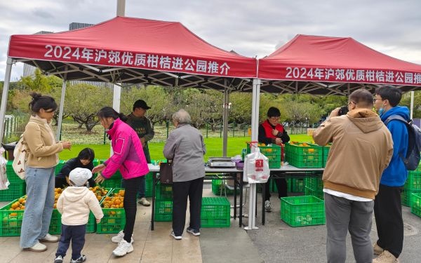 沪郊柑橘热销230吨，市民追捧绿色新鲜直达公园，活动延长至12月8日  第2张