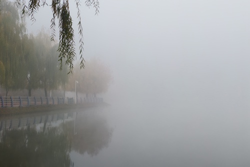 初冬怀仁：时光暂停，感受生命的诗意与宁静  第3张